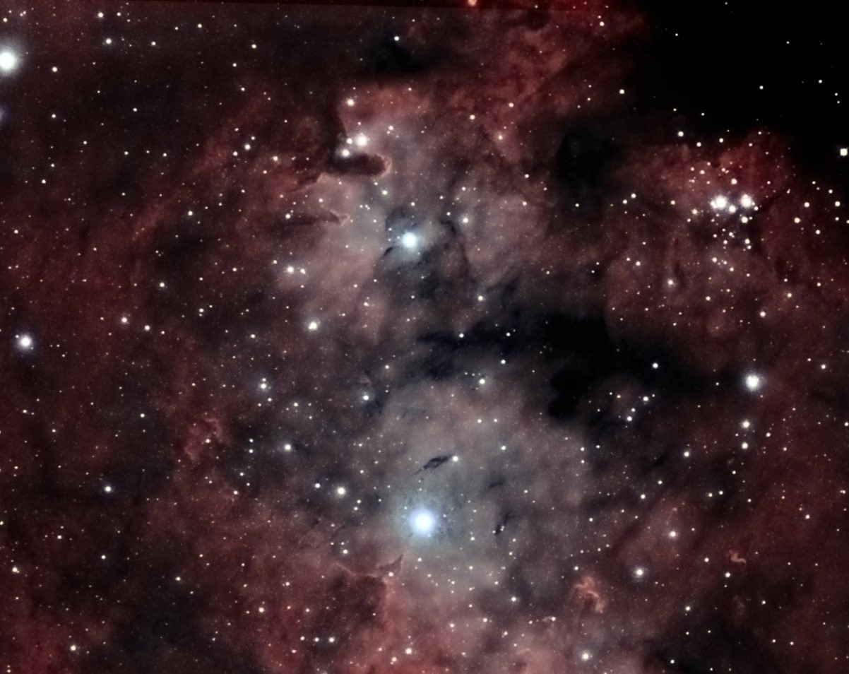 NGC7822 Bicolor